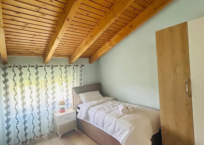 Bashllari * Zvarisht