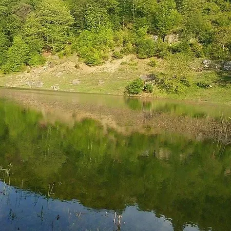 Bashllari *