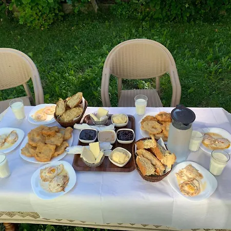 Bashllari Affittacamere Zvarisht